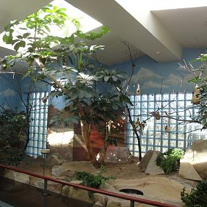 Aviary - Australian Finch Exhibit