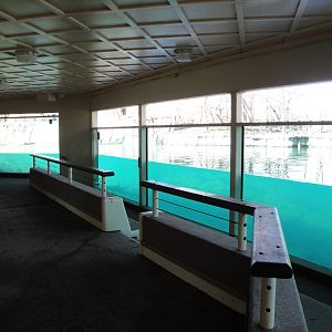 African Savannah - Hippoquarium