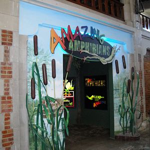 Amazing Amphibians - Entrance
