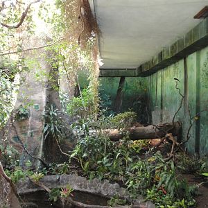 Aquarium - Indoor Rainforest