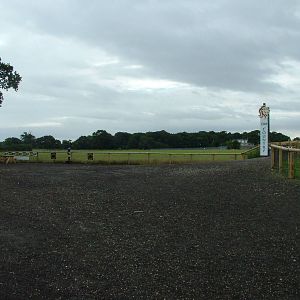 African Plains viewing area at Yorkshire WP, 18/07/10