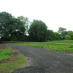 Future Paddock at Yorkshire WP, 18/07/10
