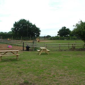 Farm Paddock at Yorkshire WP, 18/07/10