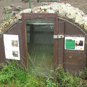 Tortoise exhibit at Yorkshire WP, 18/07/10