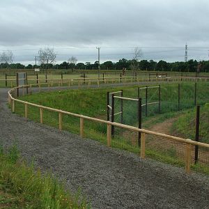 Lion Country at Yorkshire WP, 18/07/10