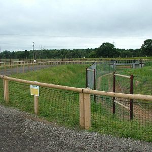 Lion Country at Yorkshire WP, 18/07/10