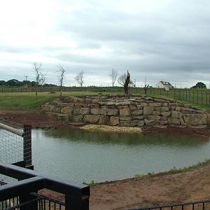 Lion Country at Yorkshire WP, 18/07/10