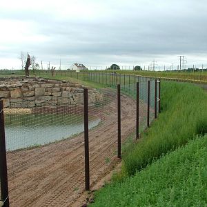 Lion Country at Yorkshire WP, 18/07/10