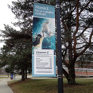 Vitamin "Z" Sign