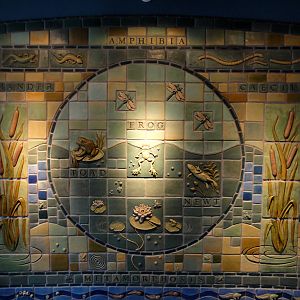 Amphibiville - Tile Wall