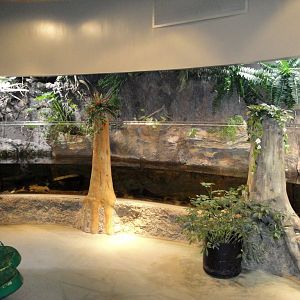 Amphibiville - Riverbank Exhibits