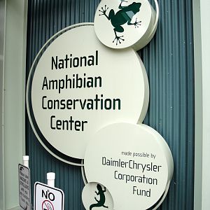 Amphibiville - Entrance