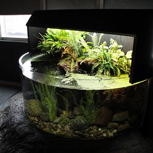 Amphibiville - Demonstration Tank