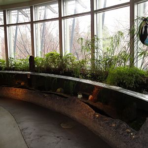Amphibiville - Minnesota Marsh Exhibit