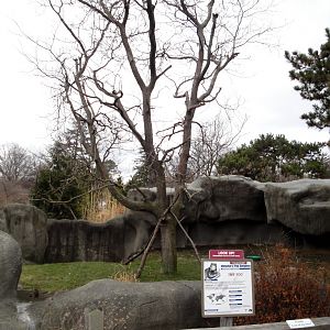 Tree Kangaroo Exhibit