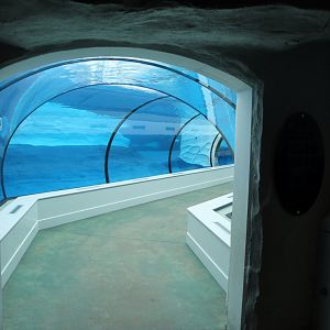 Arctic Ring of Life - Entrance to Tunnel