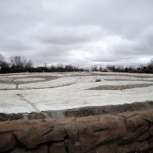 Arctic Ring of Life - Second Polar Bear Exhibit