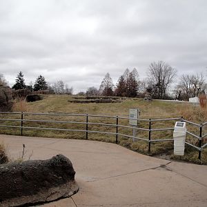 Arctic Ring of Life - First Polar Bear Exhibit