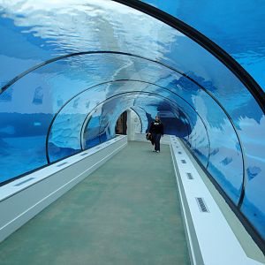 Arctic Ring of Life - Underwater Tunnel