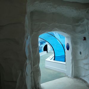 Arctic Ring of Life - Exit of Tunnel