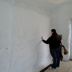 Arctic Ring of Life - Ice Room