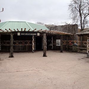 Great Apes of Harambee - Building