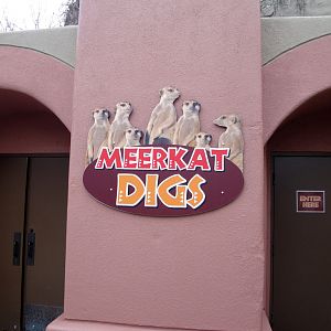 Meerkat Digs