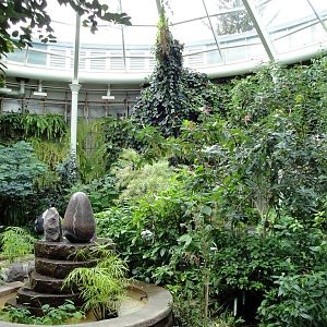 Butterfly and Hummingbird Garden