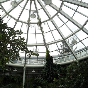 Butterfly and Hummingbird Garden