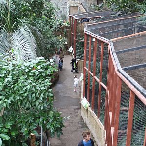 Inside the Tropical Realm  @ Chester; 17.07.10