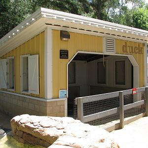Family Farm - Duck Shed