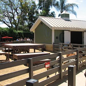 Family Farm - Goat Shed and Yard