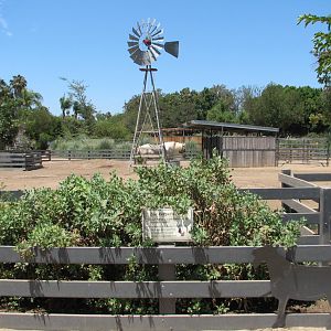 Family Farm - Cow and Horse Yard