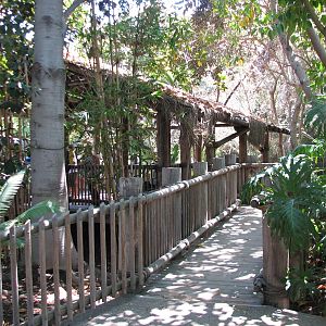 Amazons Edge - Viewing Shelter