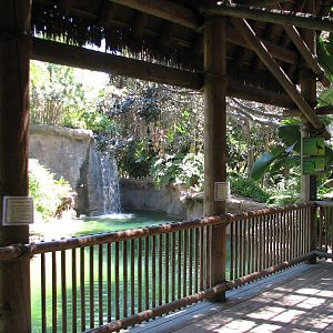 Amazons Edge - Viewing Shelter