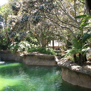 Amazons Edge - Water Moat