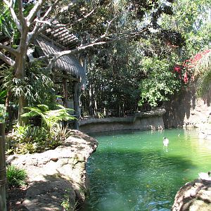 Amazons Edge - Water Moat