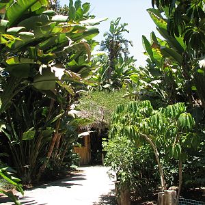 Colors of the Amazon - Entrance