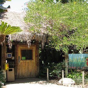 Colors of the Amazon - Entrance