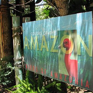 Colors of the Amazon - Sign