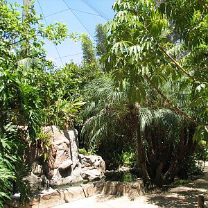 Colors of the Amazon - Path