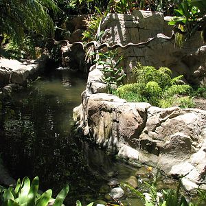 Colors of the Amazon - Stream