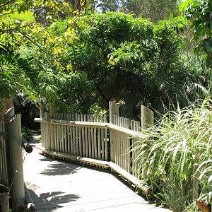 Colors of the Amazon - Bridge