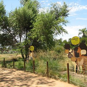 Tierra de las Pampas - Viewing Path