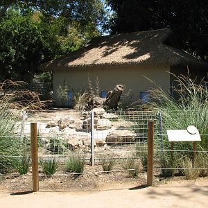 Tierra de las Pampas - Giant Anteater Exhibit Viewing Area