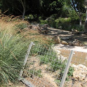 Tierra de las Pampas - Giant Anteater Exhibit