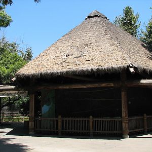 Monkey Row - Treetops Exhibit - Emperor Tamarin and Channel-billed Toucan E
