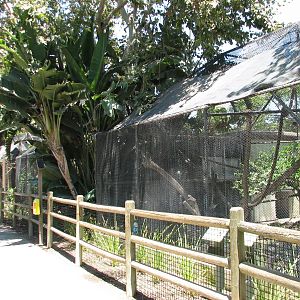 Monkey Row - White-handed Gibbon Exhibit in Foreground
