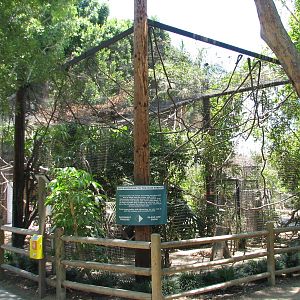 Tropical Rainforest - White-faced Saki Exhibit
