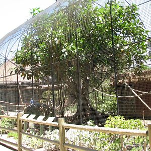 African/Madagascan Exhibit